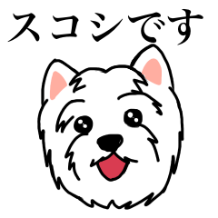 [LINEスタンプ] スコシ