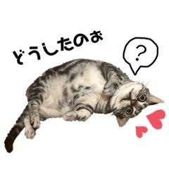 [LINEスタンプ] メリちゃんスタンプ♡