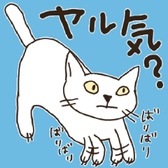 [LINEスタンプ] ★白ネコねこ丸★