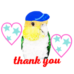 [LINEスタンプ] シロハラインコ.ニョオウインコ3