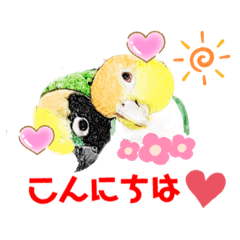 [LINEスタンプ] シロハラインコ.ニョオウインコ4