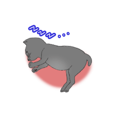 はいいろこねこ