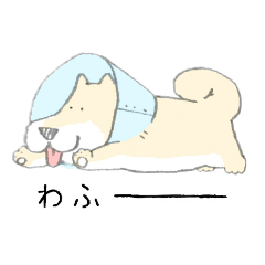 [LINEスタンプ] エリザベスカラーのわんこ