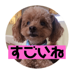 [LINEスタンプ] mocoの1日 その5