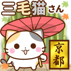 [LINEスタンプ] 京都の三毛猫さん