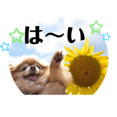[LINEスタンプ] ふぅ、永遠3