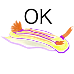 [LINEスタンプ] リアルなウミウシスタンプ
