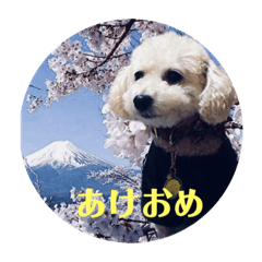 [LINEスタンプ] チャオスタンプ ④