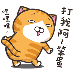 [LINEスタンプ] 動く！ランラン猫 (台湾版)の画像（メイン）