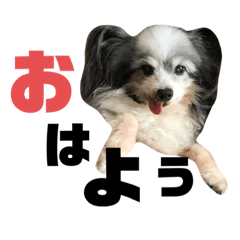 [LINEスタンプ] クーパーちゃん