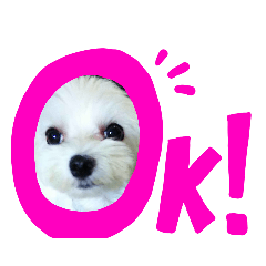 [LINEスタンプ] ちーずメリー②