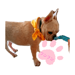 [LINEスタンプ] ＊いろいろ＊