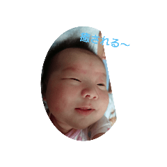 [LINEスタンプ] ちびごん日常