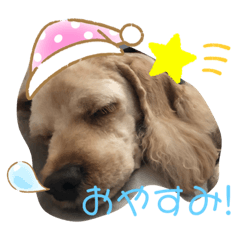 [LINEスタンプ] こことるい