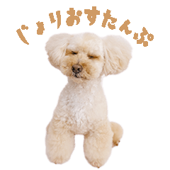 [LINEスタンプ] ジョリオスタンプ