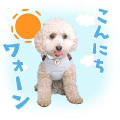 [LINEスタンプ] 190817225210.825H7Gk.