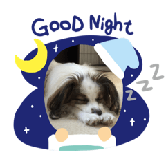 [LINEスタンプ] パピヨンだけどファーレン だよ！3