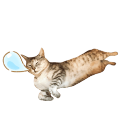 [LINEスタンプ] 寝る猫