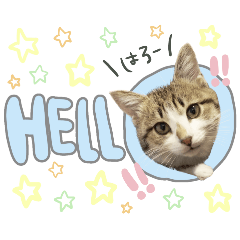 [LINEスタンプ] すずた☆スタンプ