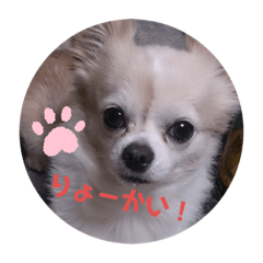 [LINEスタンプ] レンレンスタンプ②