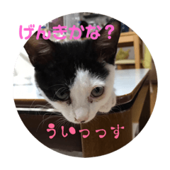 [LINEスタンプ] 私はみいこ おもいのままに