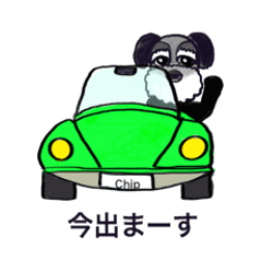 [LINEスタンプ] 可愛いく楽しいシュナウザー犬の画像（メイン）