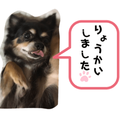 [LINEスタンプ] COCO chanスタンプver2