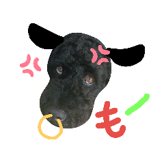 [LINEスタンプ] 黒プーの豆太くん7