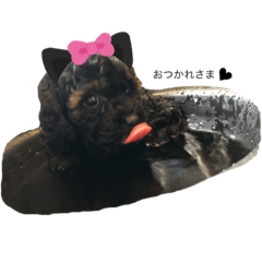 [LINEスタンプ] クロムーンすたんぷ