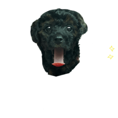 [LINEスタンプ] ツキとクロムスタンプ