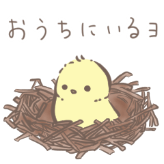 [LINEスタンプ] ぴよちゃんのいちにち