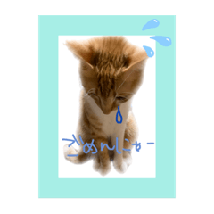 [LINEスタンプ] みー太郎の日常、第3弾！