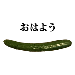 [LINEスタンプ] きゅうり 一本 と 文字