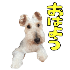 [LINEスタンプ] おふざけジニー
