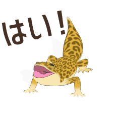 [LINEスタンプ] 大好きなヒョウモントカゲモドキ