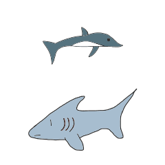 [LINEスタンプ] 動く！サメとイルカのスタンプ