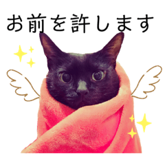[LINEスタンプ] 黒猫 KEYちゃん2
