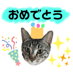 [LINEスタンプ] まつりちゃん用