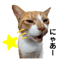 [LINEスタンプ] ひまわりと優吾