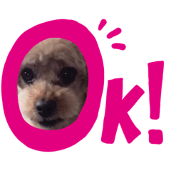 [LINEスタンプ] 犬の簡単な挨拶