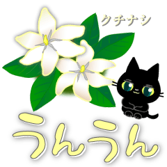 [LINEスタンプ] 黒猫ちゃん花図鑑・日々の会話に花をそえての画像（メイン）