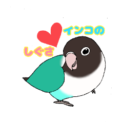 [LINEスタンプ] インコのしぐさ