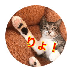 [LINEスタンプ] リスタ猫①