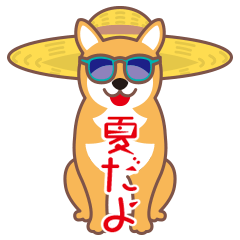[LINEスタンプ] 夏〜柴犬
