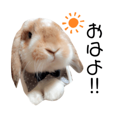 [LINEスタンプ] うさぎのれんくん