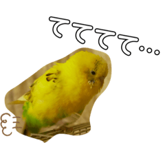 [LINEスタンプ] インコのリキちゃん