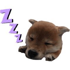 [LINEスタンプ] オラえのまめちゃん