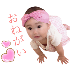 [LINEスタンプ] かいくん。