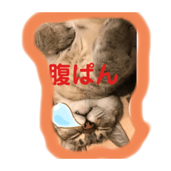 [LINEスタンプ] うめはるこの画像（メイン）