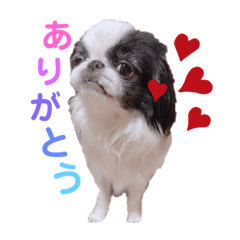 [LINEスタンプ] りんちゃんももちゃん